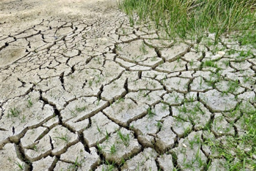 Regione Piemonte - Segnalazione danni alle produzioni agricole causa siccità â€“ Anno 2023